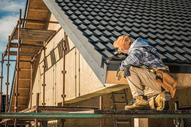 Best Roof Gutter Cleaning  in Wolf Trap, VA