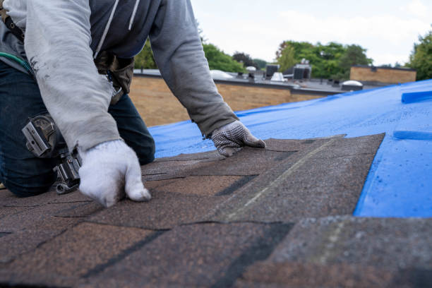 Best Commercial Roofing Services  in Wolf Trap, VA
